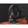 REDRAGON SPECTRA PRO Black H889 - 1478581 - zdjęcie 11